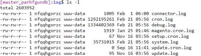 magento logger