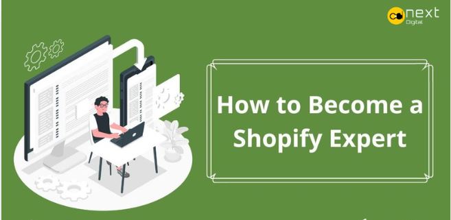 Shopify Partner