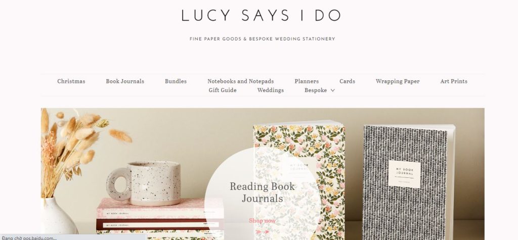 cleaning website design