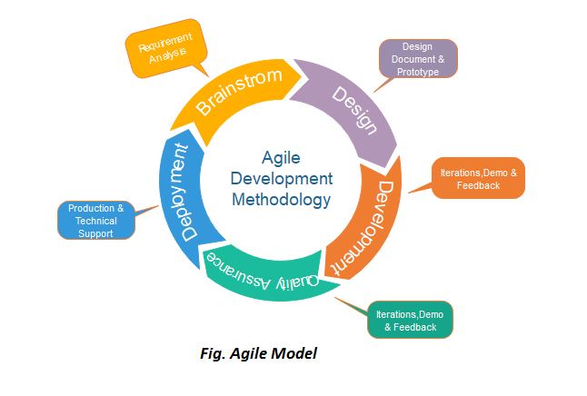process development