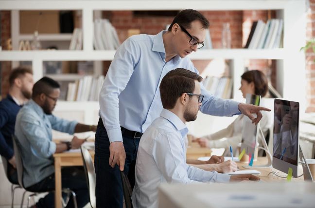 Web Design Consultant