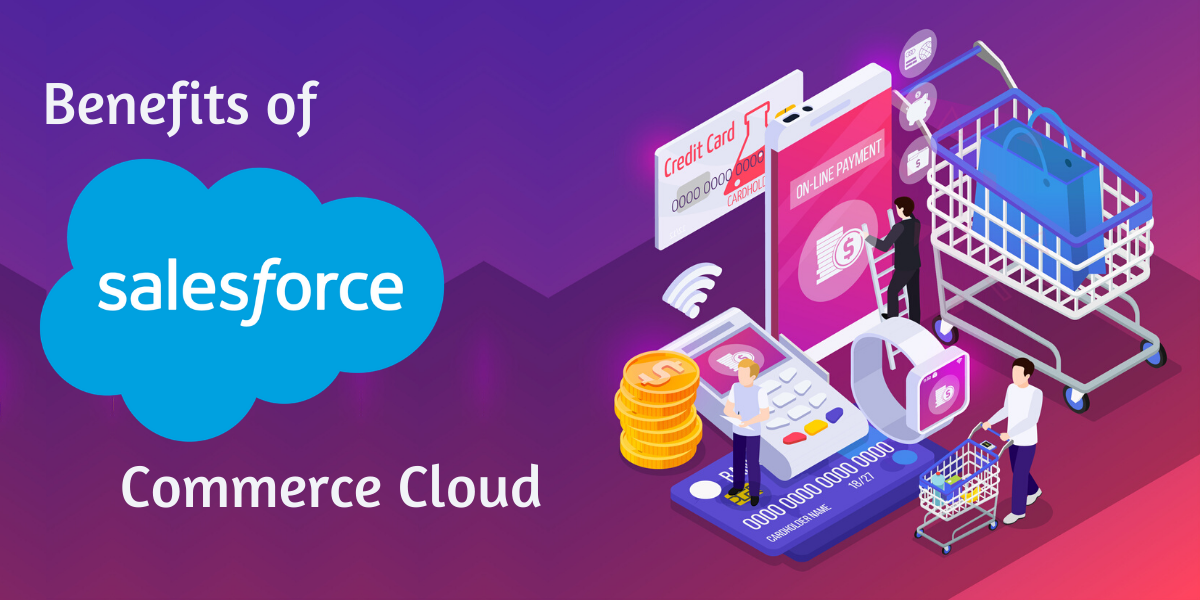 salesforce b2b ecommerce