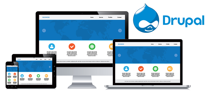 hire Drupal developers