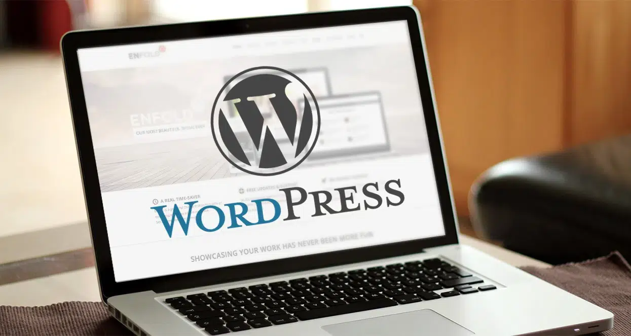 custom wordpress development