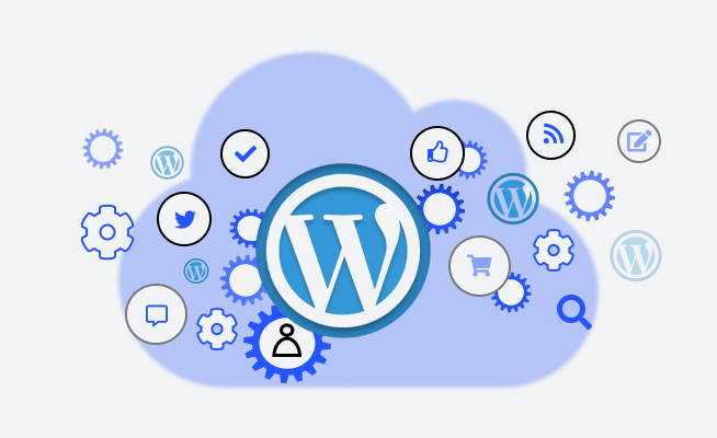 custom wordpress development