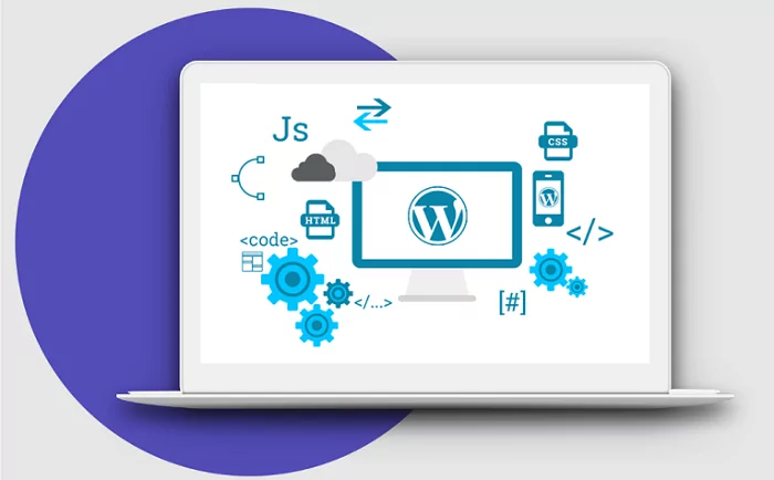 custom wordpress development