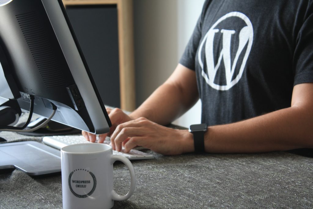 wordpress consultant
