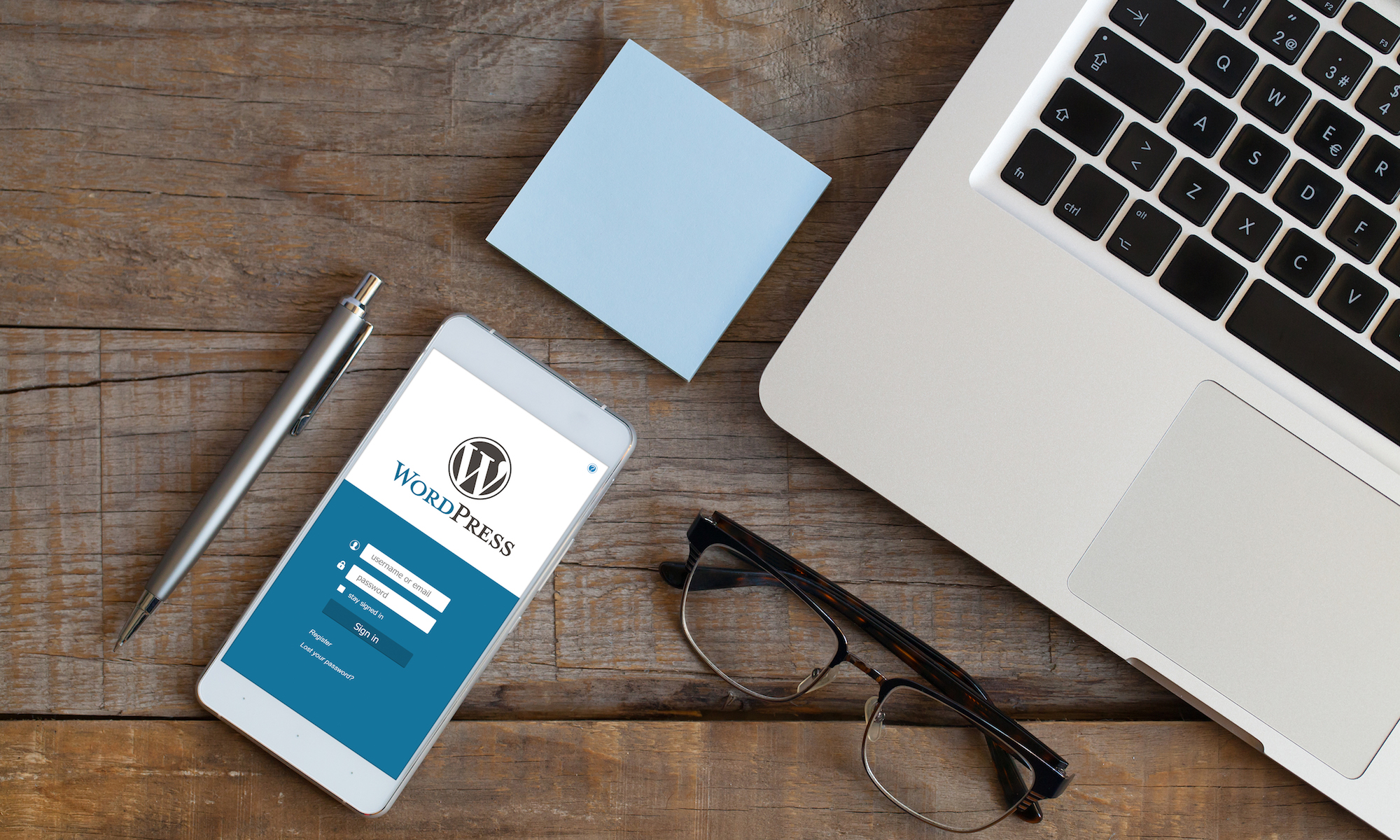 wordpress consultant