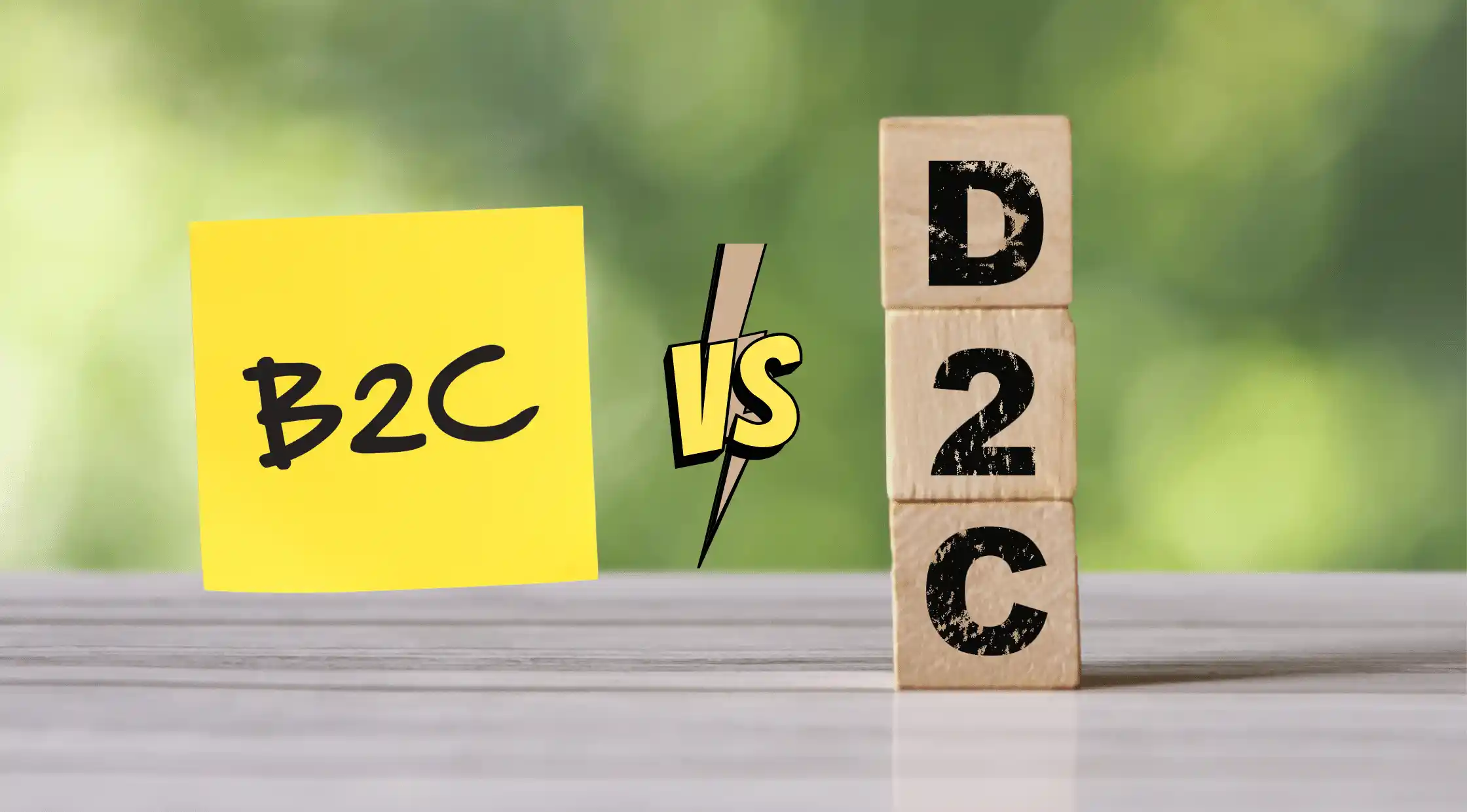 B2C vs D2C