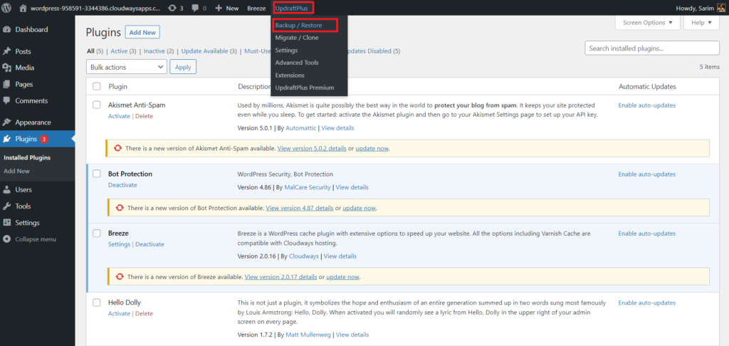 how to delete wordpress site