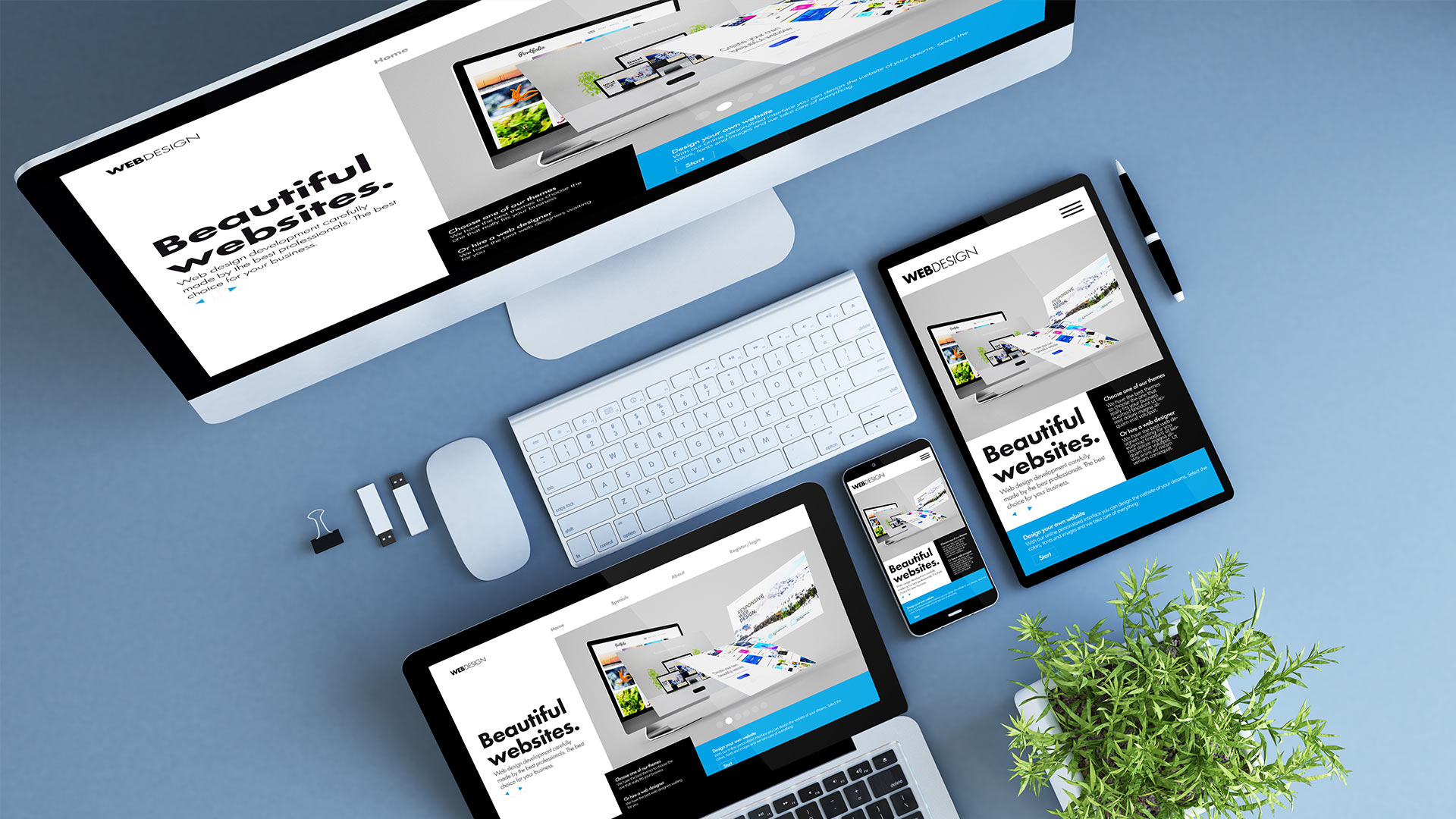 d2c ecommerce website development