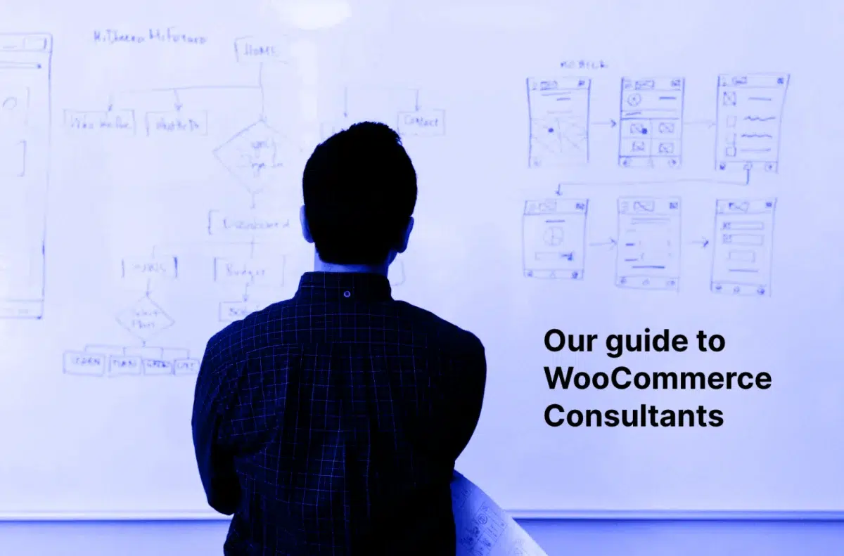 woocommerce consultant