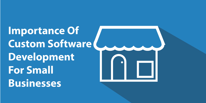 Why Custom Software Development Outsourcing is Key to Small Business Growth custom software development outsourcing for small businesses