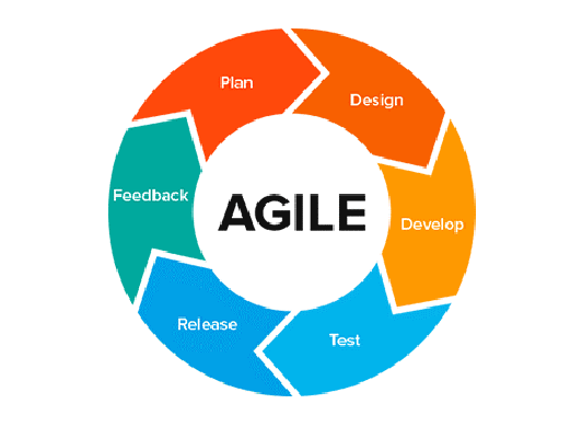 The 11 Most Important Software Development Roles for Team Success software development roles