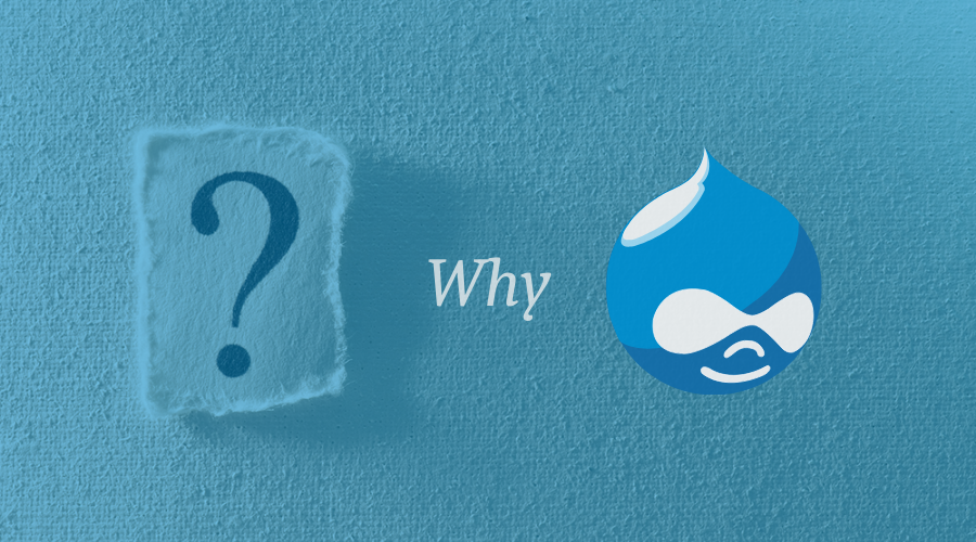 Drupal CMS Development Company