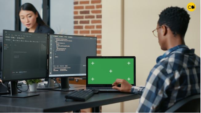 vue js development services